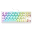 Kép 1/2 - Billentyűzet vezetékes URAGE Exodus 220TKL RGB fehér