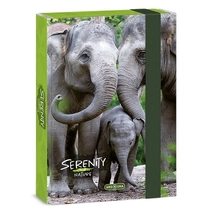 Füzetbox ARS UNA A/5 Serenity Elephant