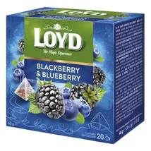 Gyümölcstea LOYD Piramis áfonya-szeder 20x2 g